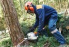 Sutherland VICtree-cutting-services-21.jpg; ?>